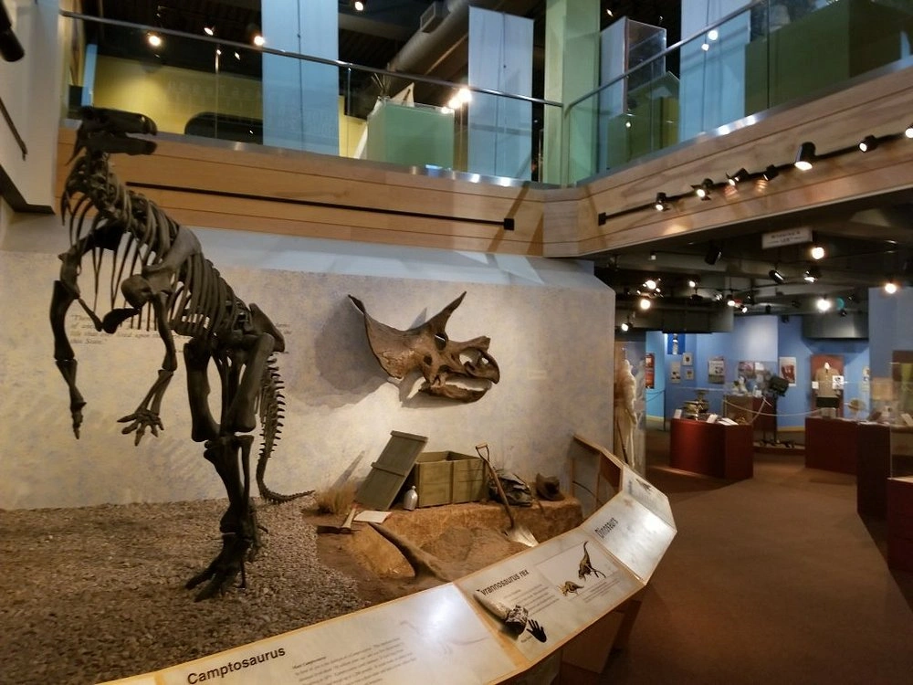 The Wyoming State Museum